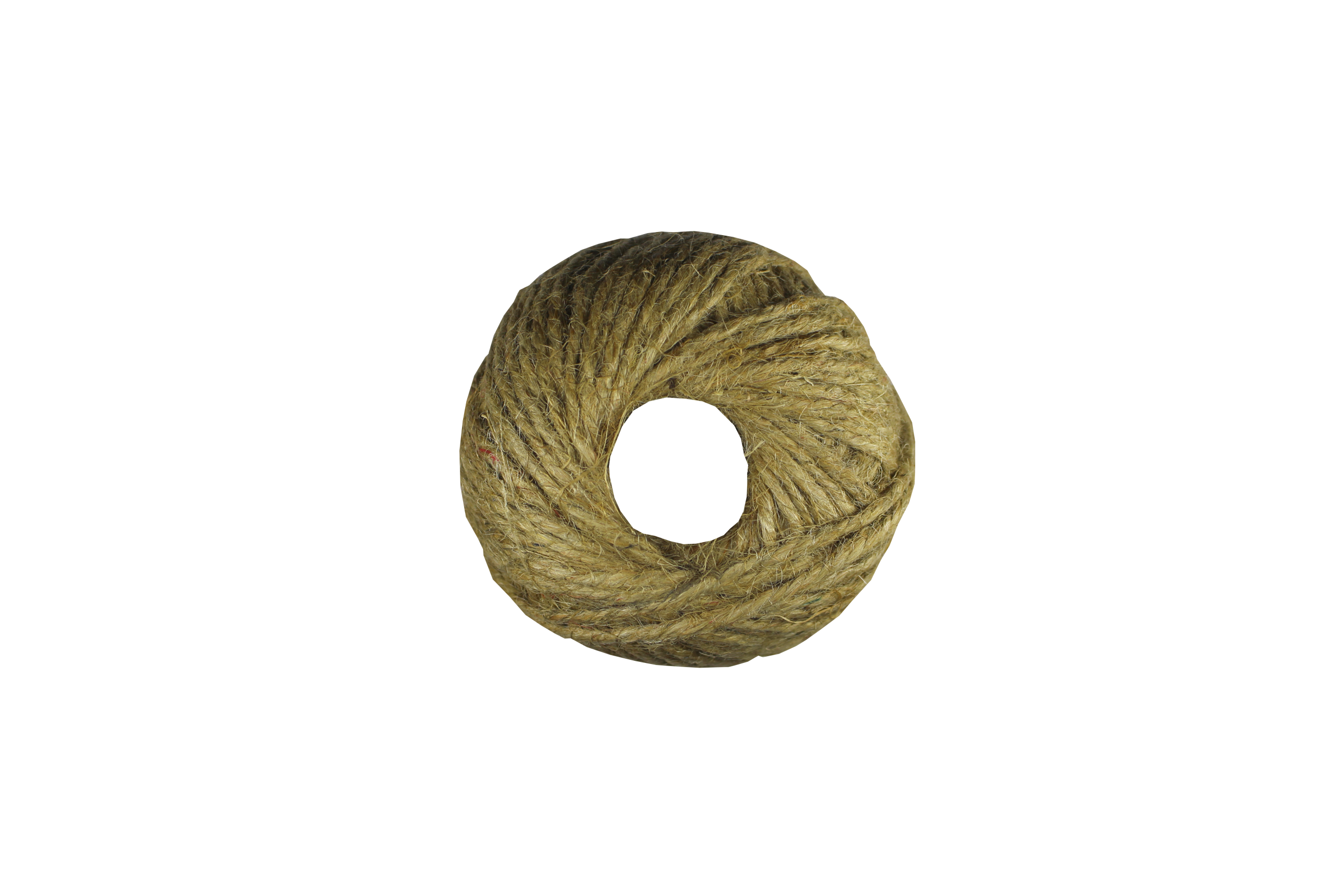 ROLO1.png